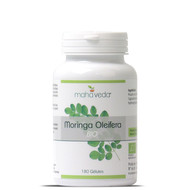 Moringa oleifera - Phytosud