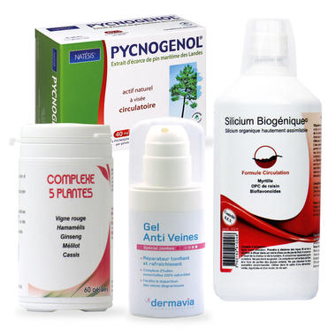 Protocole Circulation